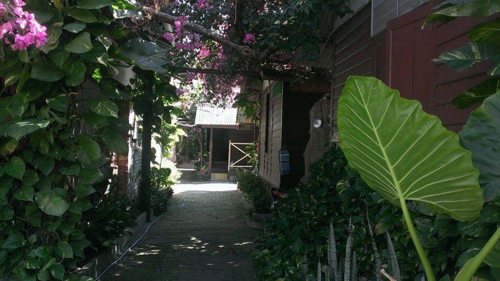 Ombak Inn Chalet Kampung Teluk Nipah Exterior foto